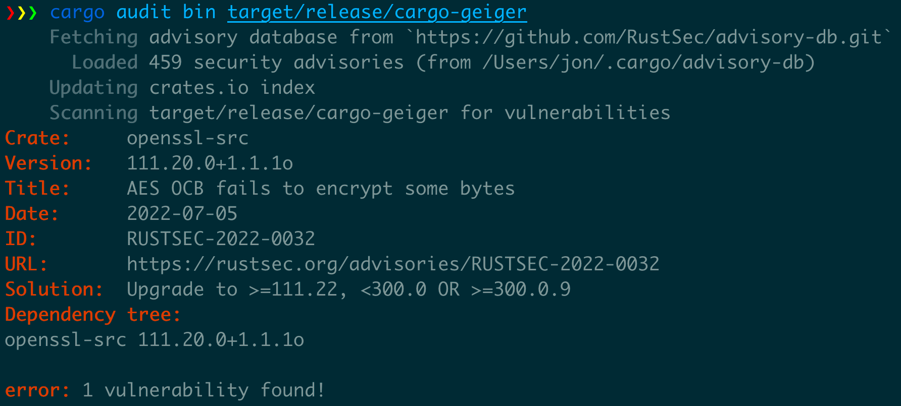 cargo audit output on a binary file